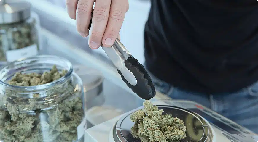 person picking up weed with tongs