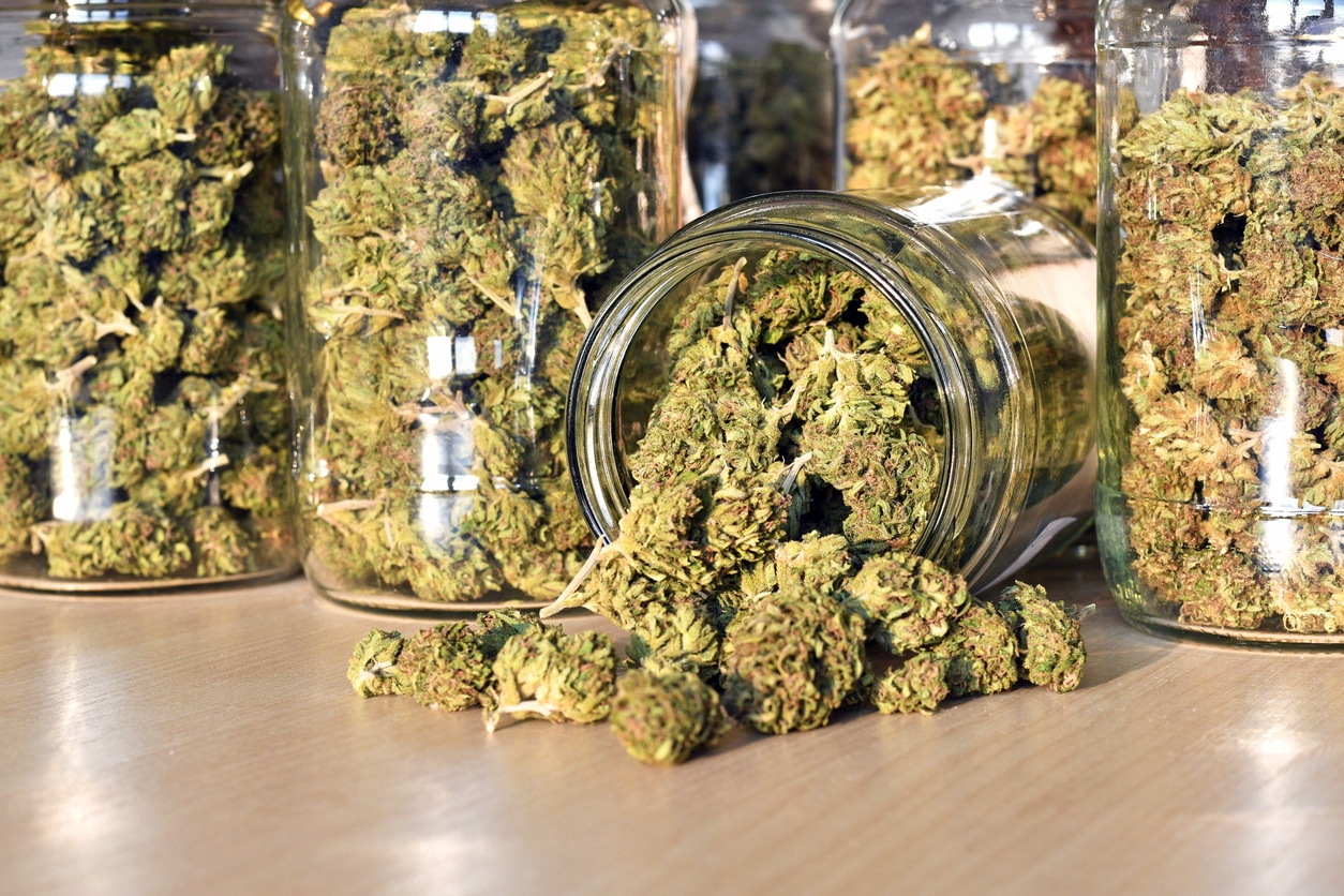 jars of marijuana